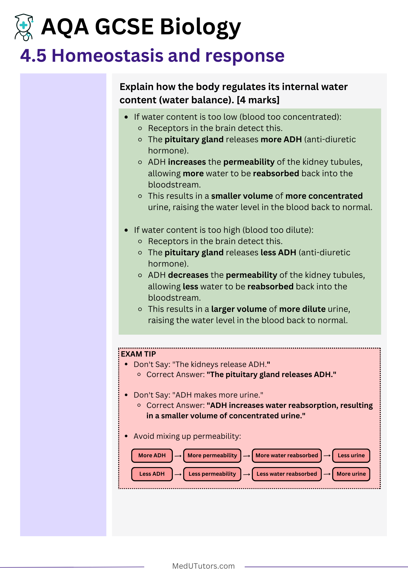 GCSE AQA Biology Exam Master Notes – Complete Pack